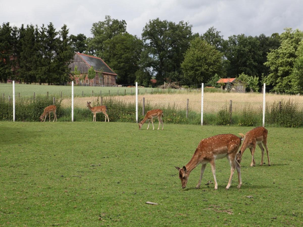 Gaeste Und Ferienhof Maas Dülmen Kültér fotó